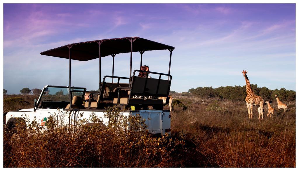 Thali Thali Game Lodge Langebaan Esterno foto