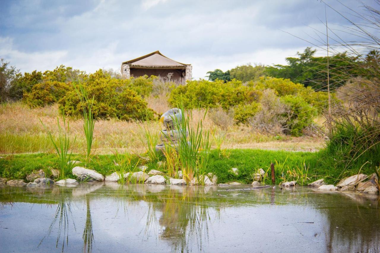 Thali Thali Game Lodge Langebaan Esterno foto