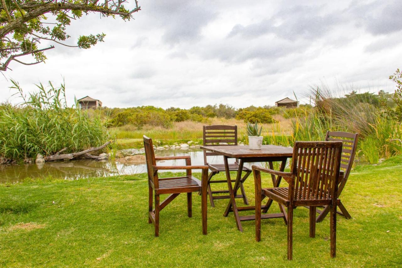 Thali Thali Game Lodge Langebaan Esterno foto
